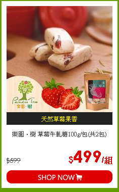 樂園．樹 草莓牛軋糖100g/包(共2包)