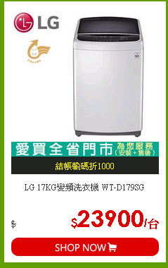 LG 17KG變頻洗衣機 WT-D179SG
