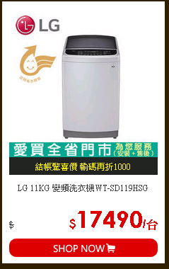 LG 11KG 變頻洗衣機WT-SD119HSG