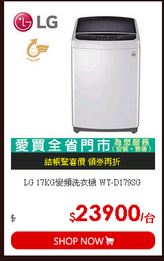 LG 17KG變頻洗衣機 WT-D179SG