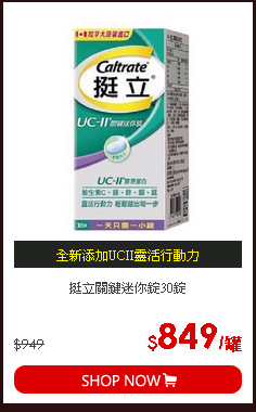 挺立關鍵迷你錠30錠