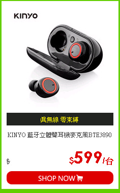 KINYO 藍牙立體聲耳機麥克風BTE3890