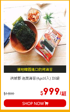 洪城郡 泡菜海苔(4gx16入) X6袋