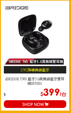 iBRIDGE TWS 藍牙5.0真無線藍牙雙耳機IBT001