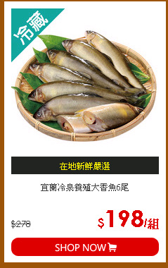 宜蘭冷泉養殖大香魚6尾