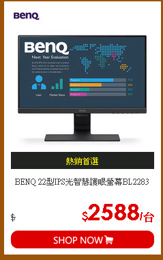 BENQ 22型IPS光智慧護眼螢幕BL2283