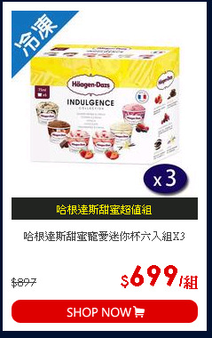 哈根達斯甜蜜寵愛迷你杯六入組X3