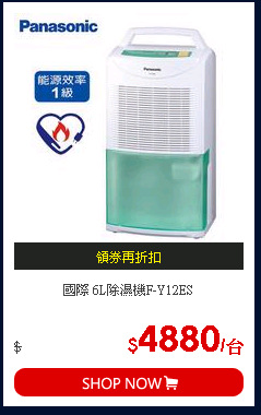 國際 6L除濕機F-Y12ES