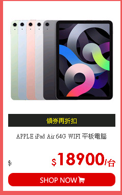 APPLE iPad Air 64G WIFI 平板電腦