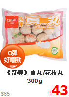 《奇美》貢丸/花枝丸300g