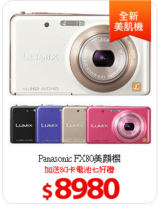 Panasonic FX80美顏機