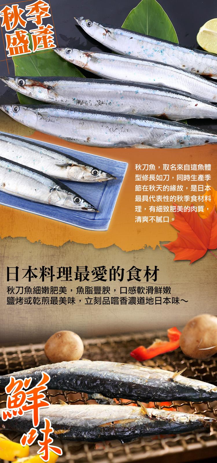 海鮮王嚴選肥美秋刀魚 4組 4 6尾裝 600g 10 包